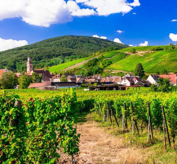 Gîte Le Villois à Villé Centre Alsace Exterior foto